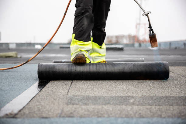 Best Roof Coating and Sealing  in Bryn Mawr, PA